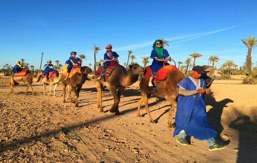 Sunset Camel Ride & Berber Tea in Marrakech’s Palm Grove
